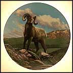 The Bighorn Sheep