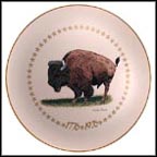 American Bison