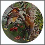 The Cedar Waxwing