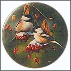 The Chickadee