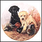 A Perfect Set - Labrador Retrievers