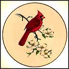 Cardinal