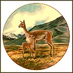 The Vicuna