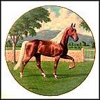 The Tennessee Walker