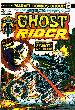 Ghost Rider #5