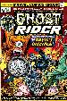 Ghost Rider #8